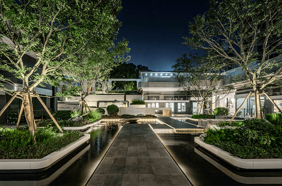 1736163386132252.jpg 1736163374090.jpg