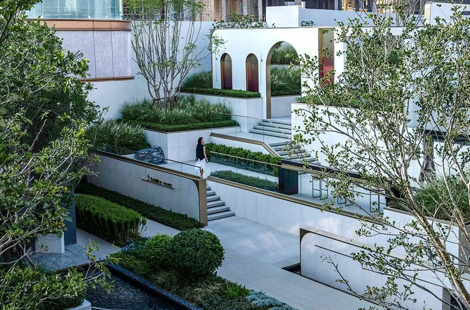 1736163391678491.jpg 1736163376183.jpg