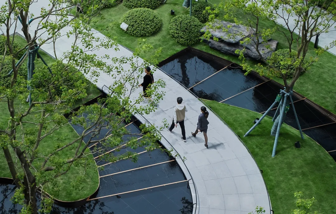 1736163575556863.jpg 1736163561498.jpg