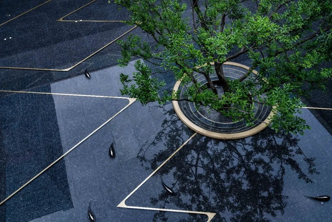 1736163595107960.jpg 1736163584827.jpg