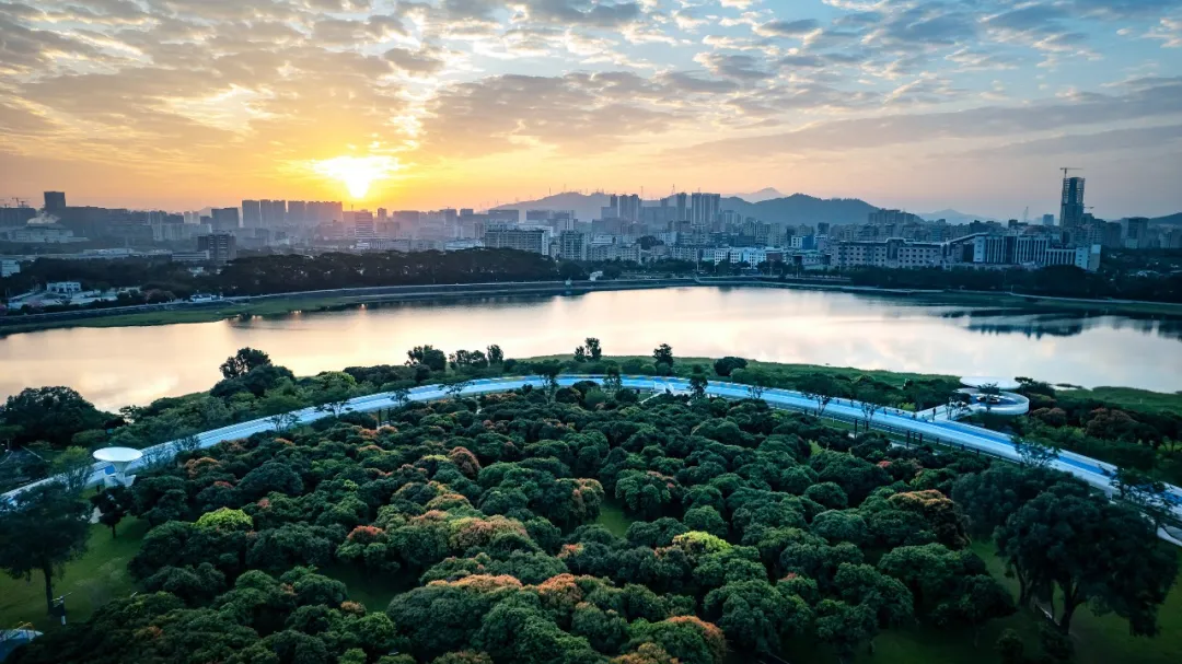 1736230104144547.jpg 1736230100477.jpg