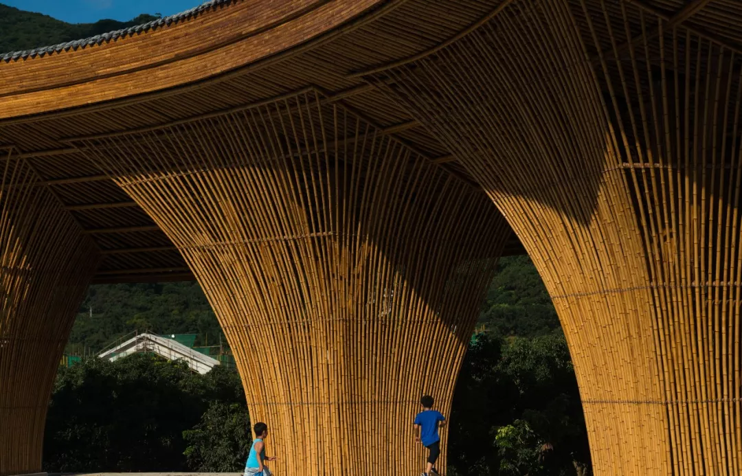 1736231175136118.jpg 1736231165523.jpg