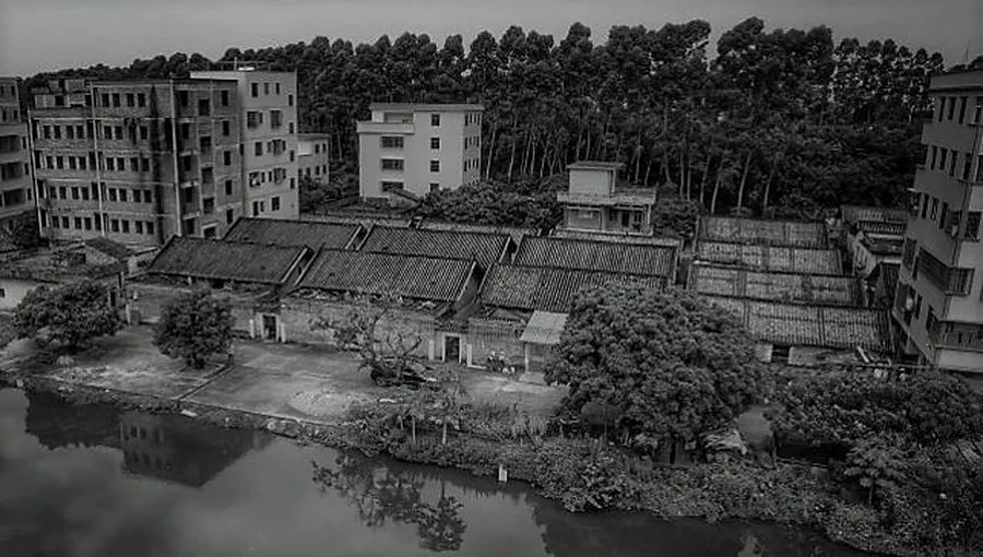 1736231233129245.jpg 1736231226168.jpg