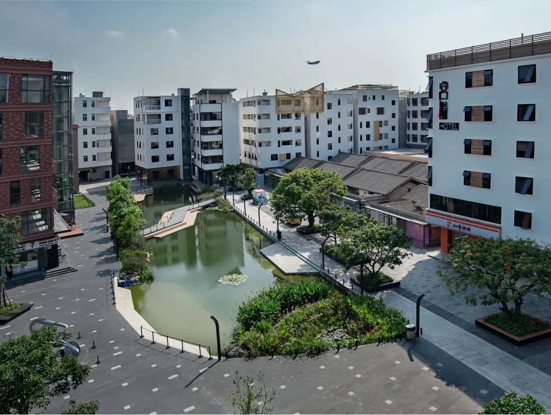 1736231237379230.jpg 1736231228680.jpg