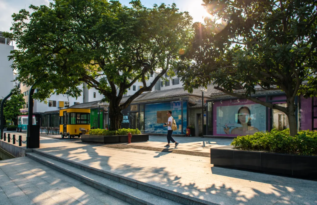 1736231271101920.jpg 1736231253501.jpg