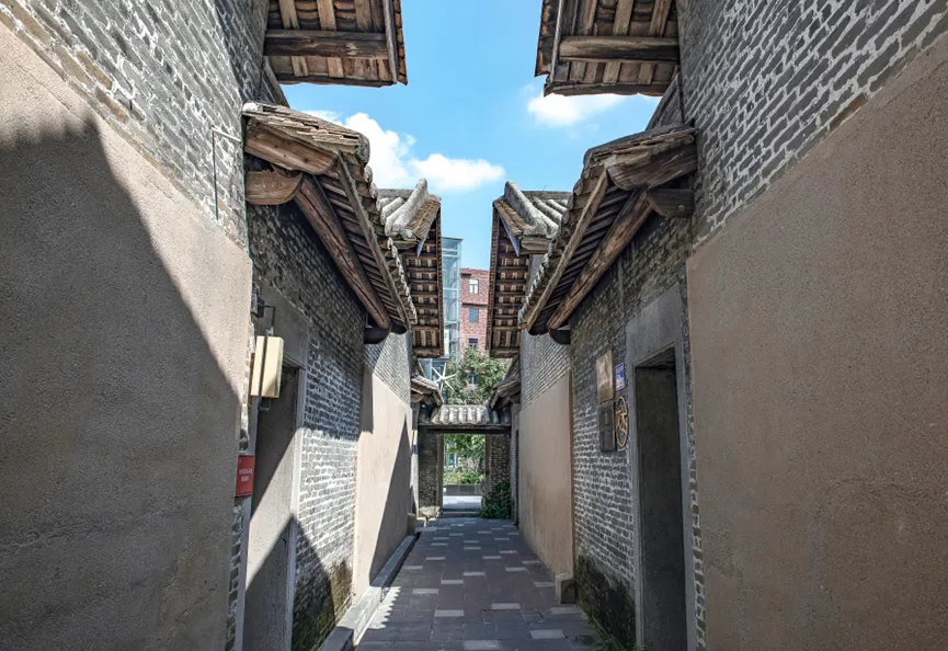 1736231293163453.jpg 1736231287379.jpg