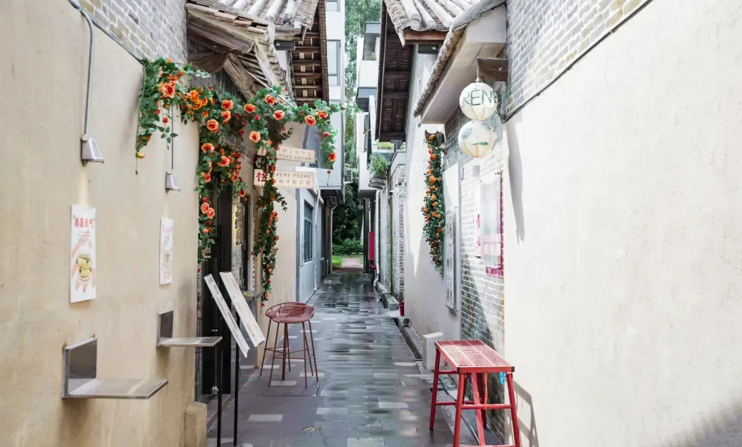 1736231297164850.jpg 1736231289294.jpg