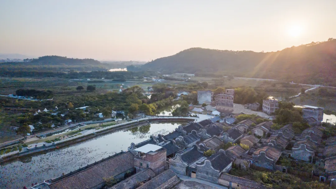 1736231310114092.jpg 1736231304600.jpg