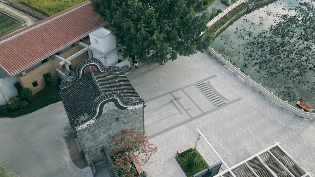 1736231347134672.jpg 1736231338146.jpg