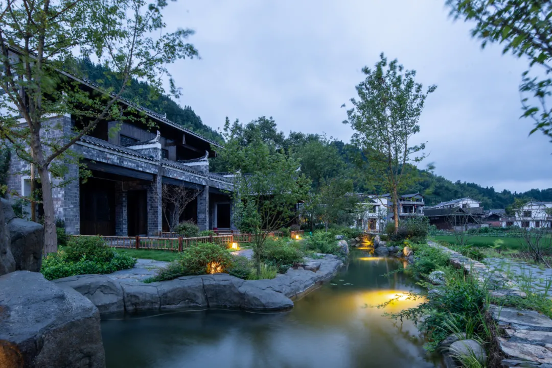 1736231384415909.jpg 1736231376570.jpg