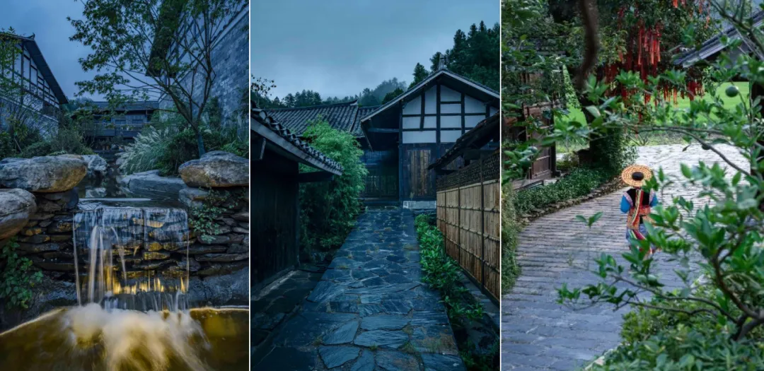 1736231387198061.jpg 1736231378843.jpg