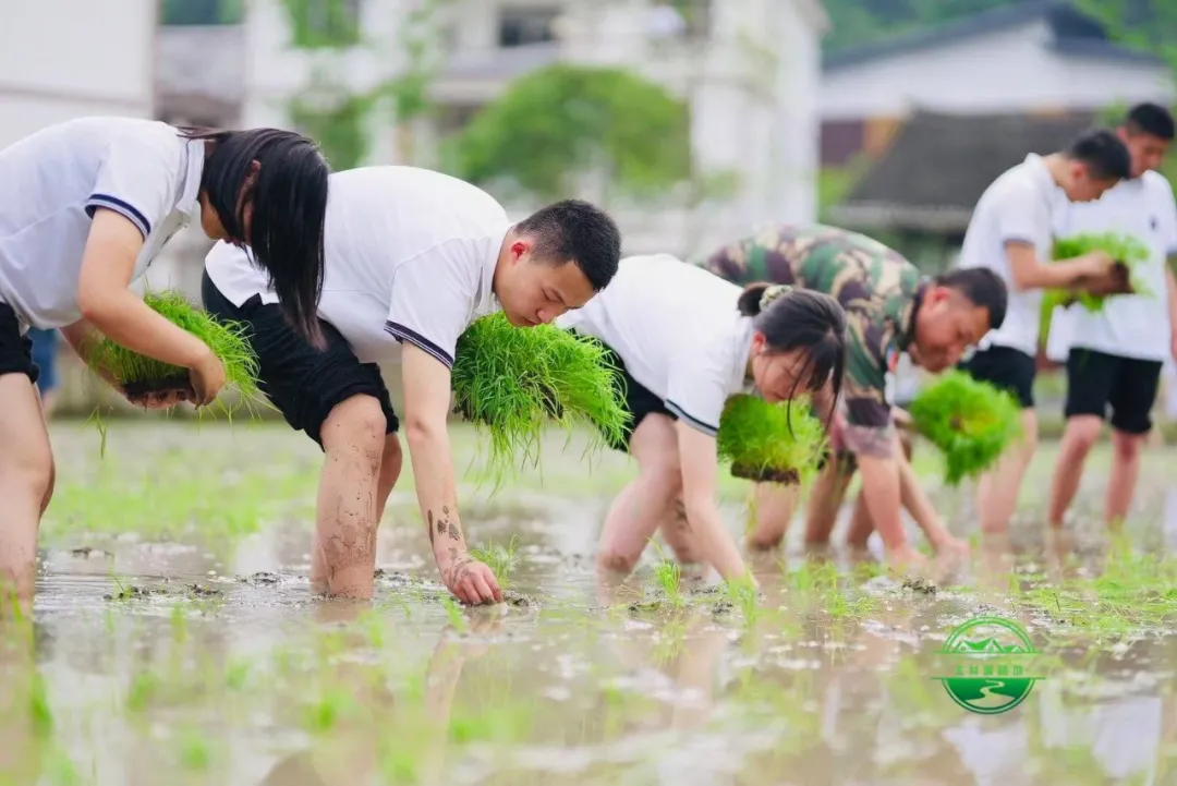 1736231403793076.jpg 1736231395360.jpg