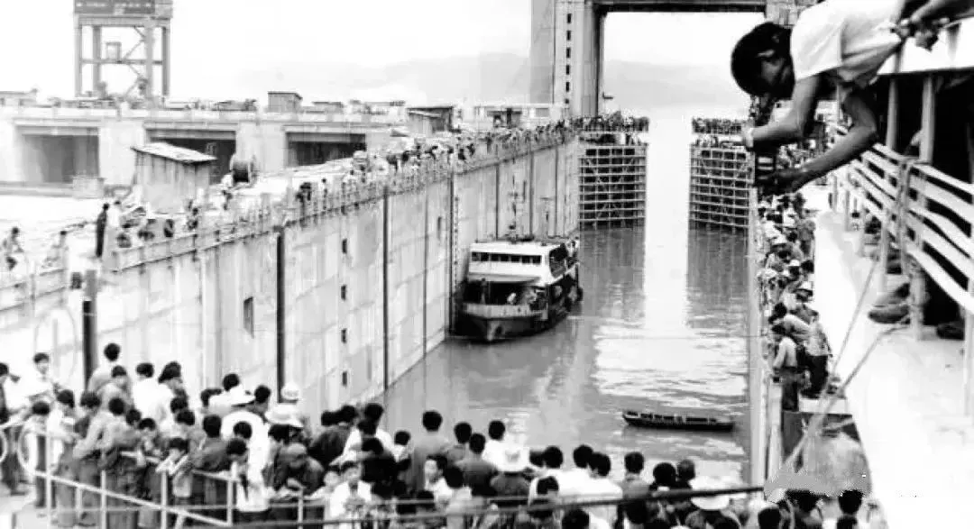 1736231416167578.jpg 1736231410662.jpg