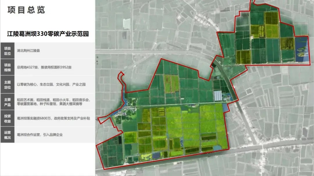 1736231429197109.jpg 1736231424662.jpg