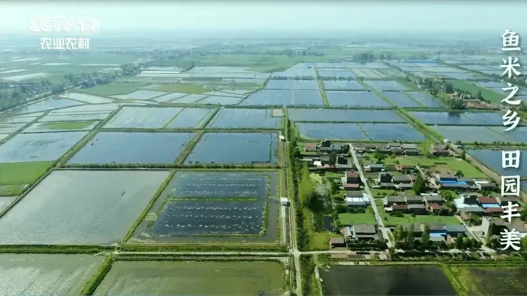 1736231440472954.jpg 1736231435672.jpg