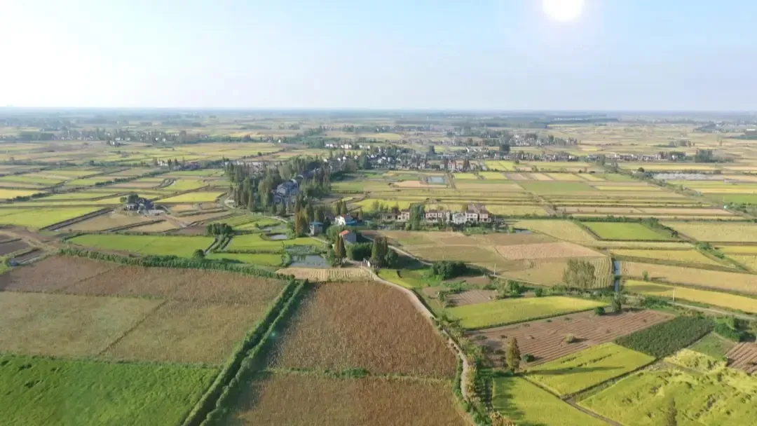 1736231455284936.jpg 1736231449582.jpg