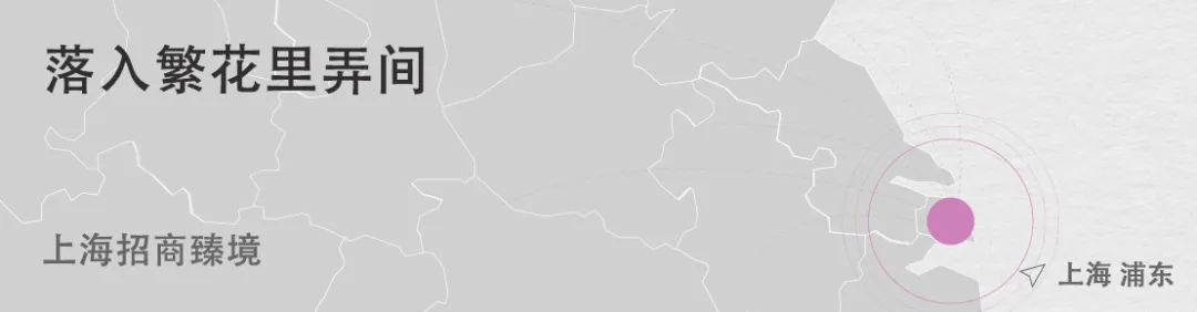 1736748915702486.jpg 1736748848923.jpg