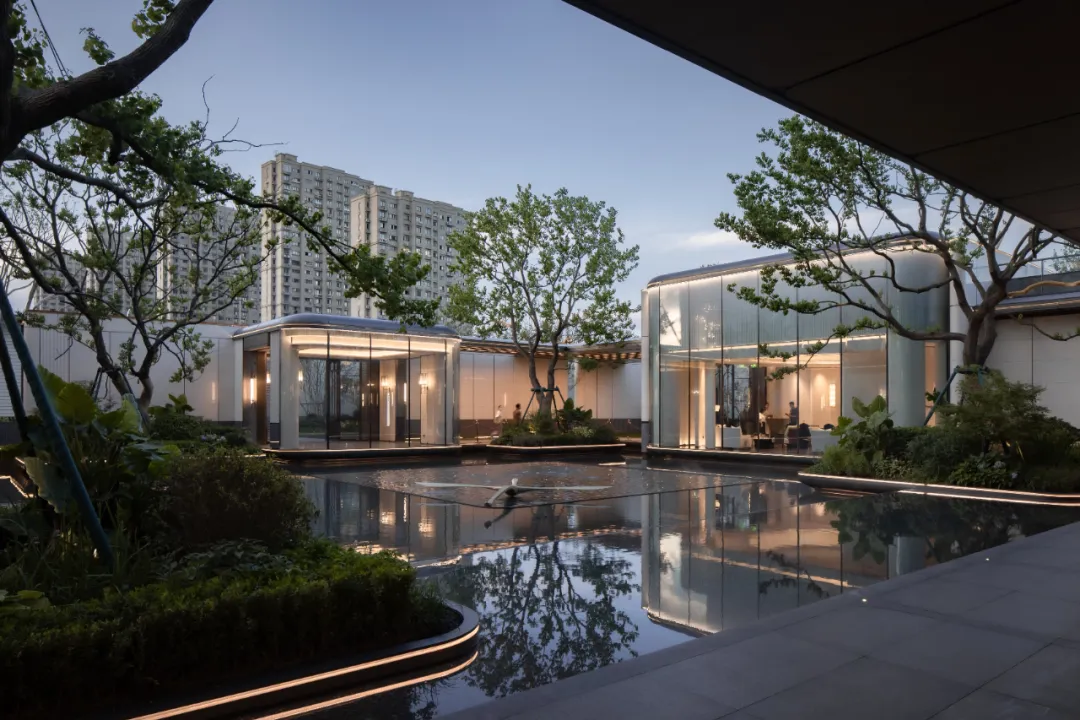 1736748938599125.jpg 1736748856525.jpg