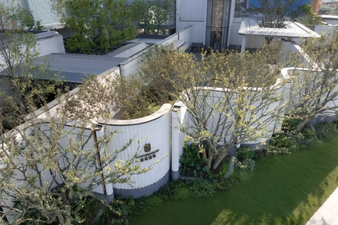 1736749001136473.jpg 1736748962301.jpg