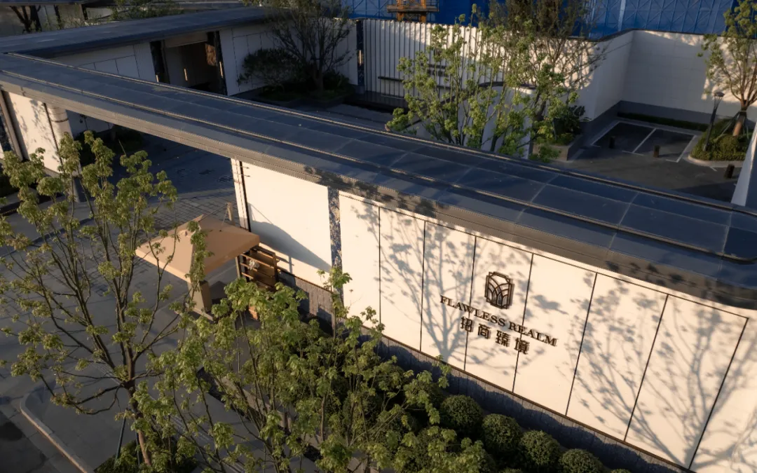 1736749021102689.jpg 1736748971196.jpg