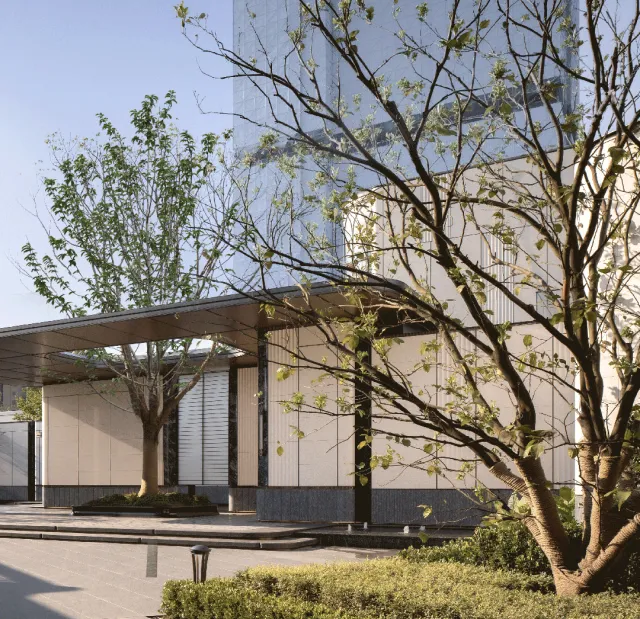 1736749070133287.jpg 1736749050449.jpg