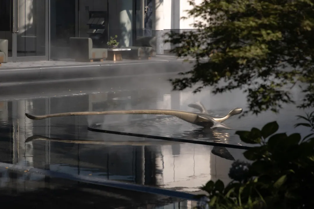 1736749141435253.jpg 1736749132110.jpg