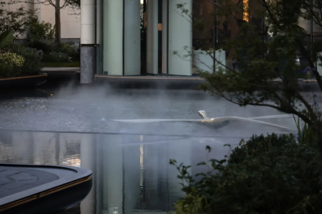 1736749145900452.jpg 1736749134086.jpg