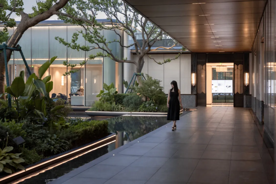 1736749185118822.jpg 1736749159085.jpg