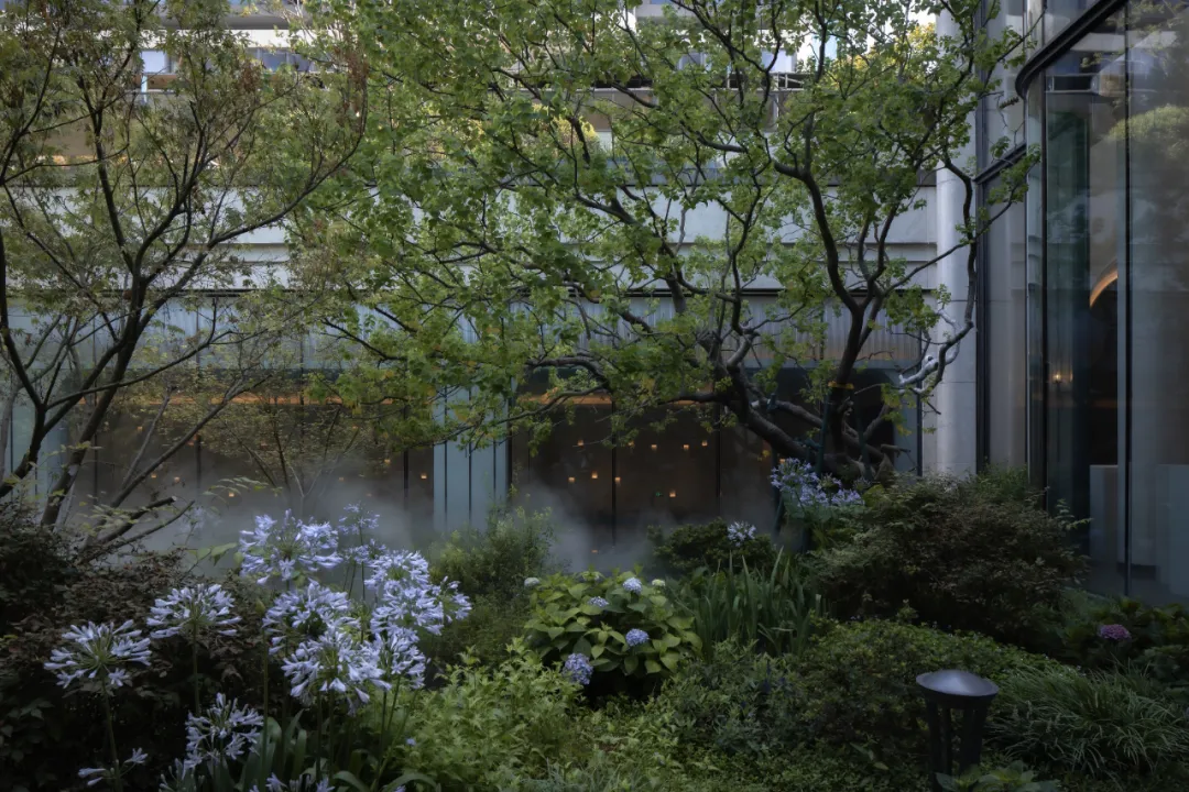 1736749265110928.jpg 1736749245240.jpg