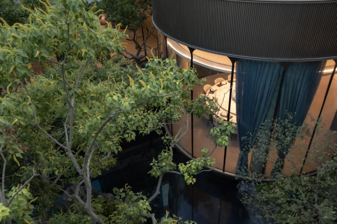 1736749296173654.jpg 1736749270639.jpg