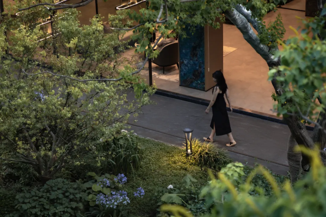 1736749333164572.jpg 1736749316468.jpg