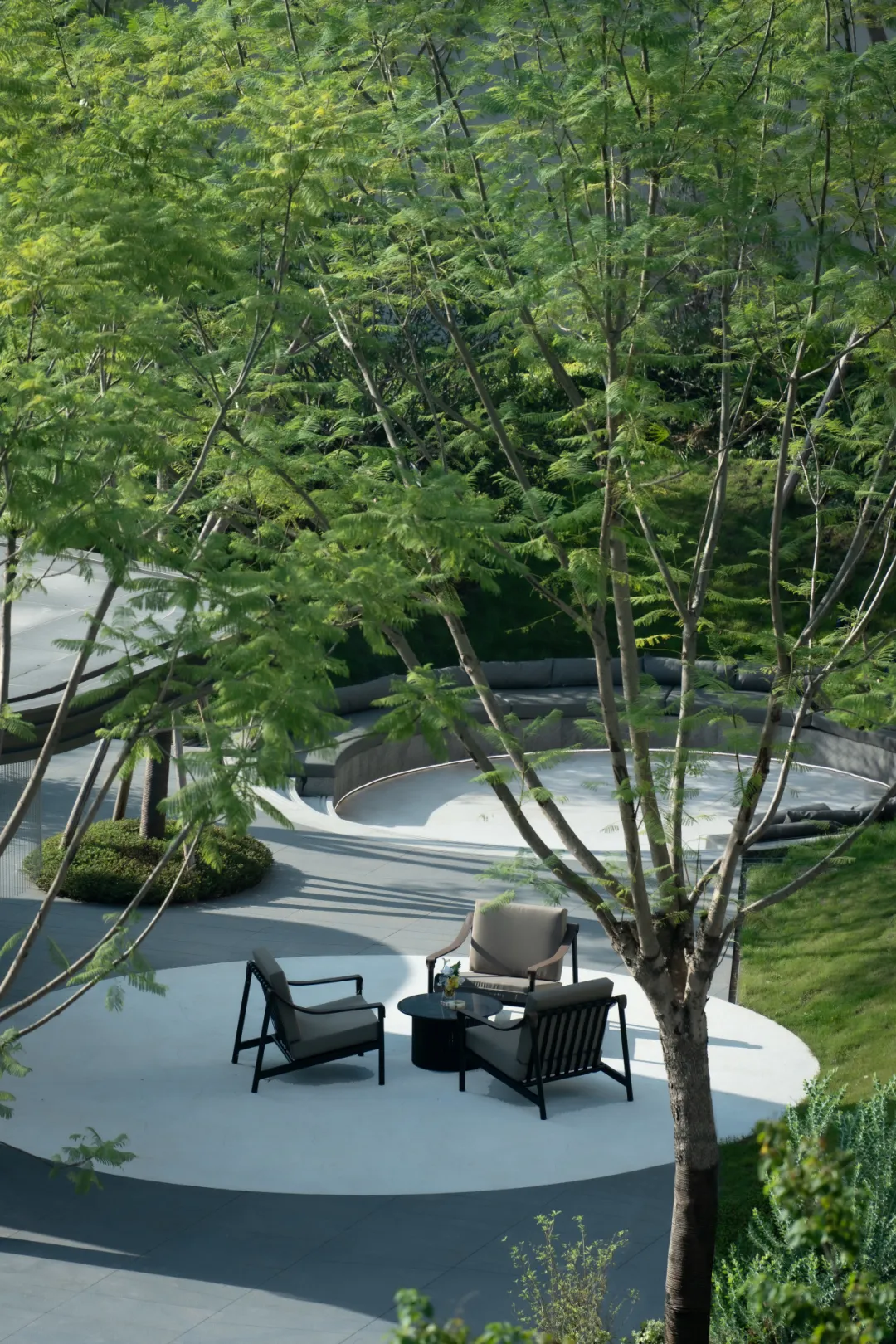 1736750583749963.jpg 1736750555307.jpg