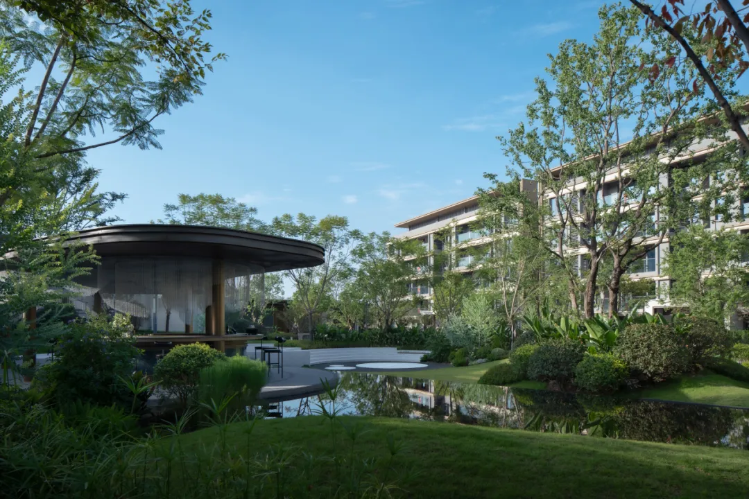 1736750622122499.jpg 1736750608022.jpg