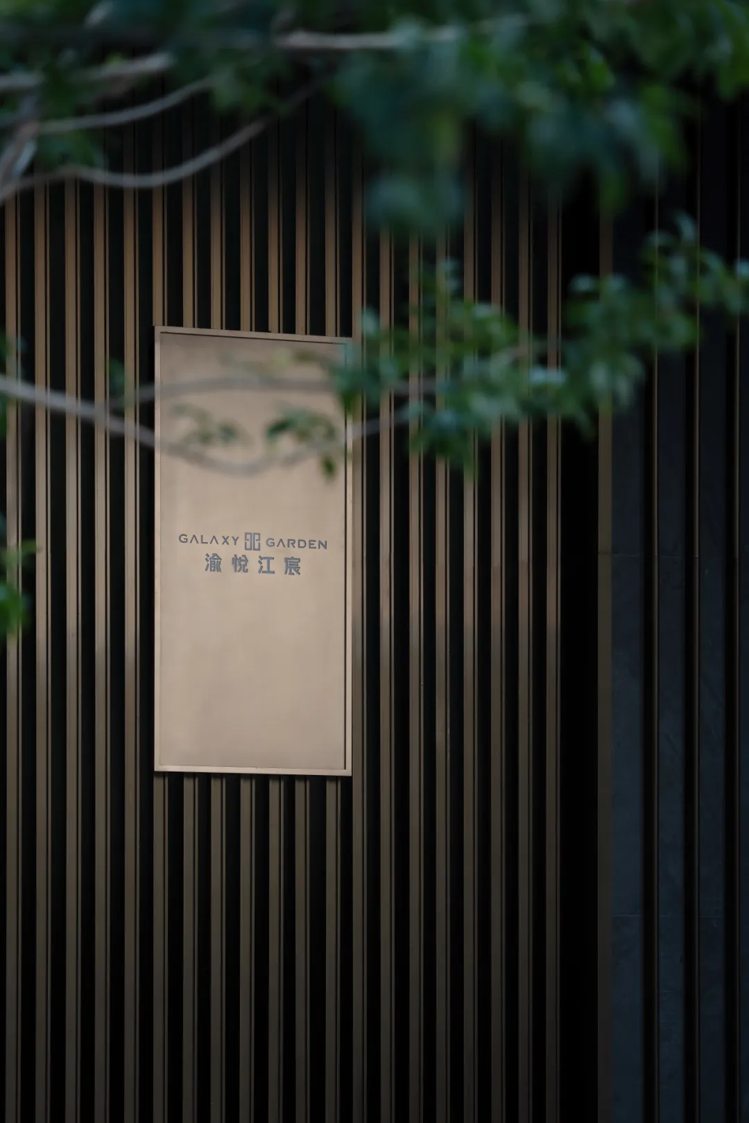 1736750662161760.jpg 1736750645764.jpg