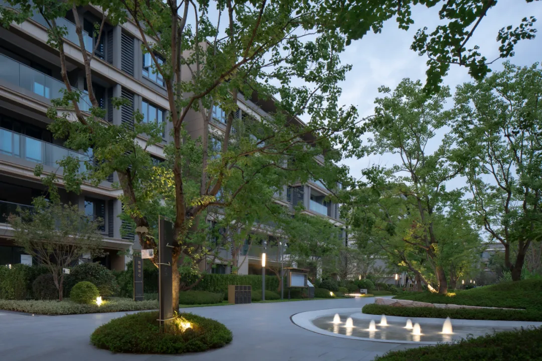 1736750721212072.jpg 1736750710449.jpg