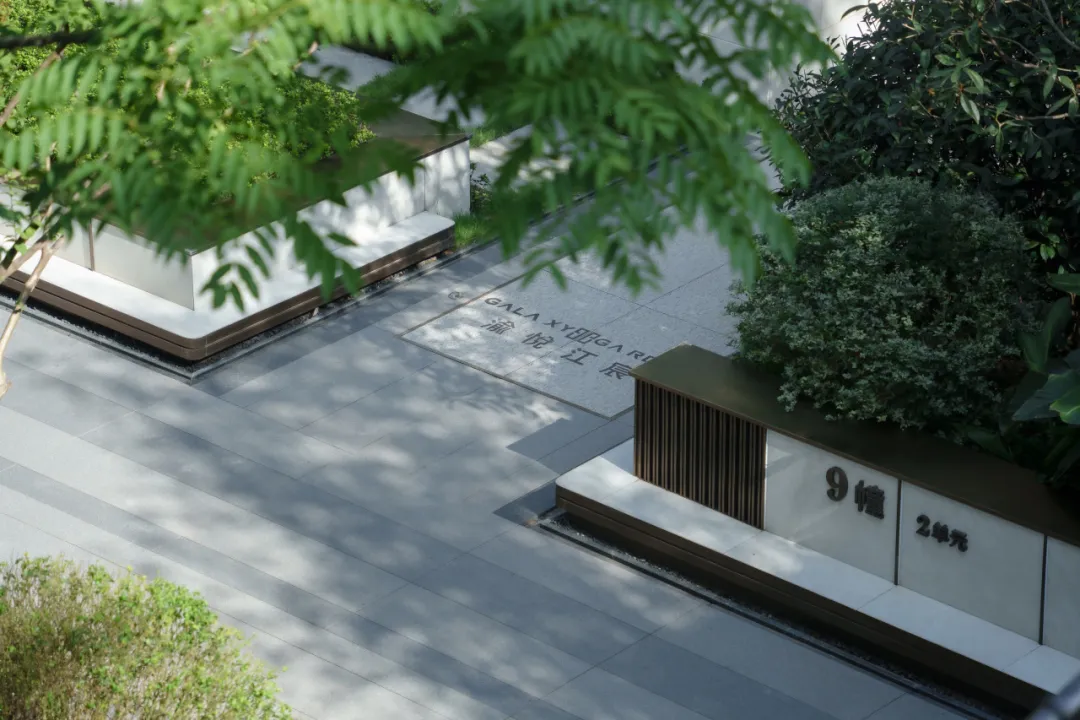 1736750753208432.jpg 1736750744193.jpg