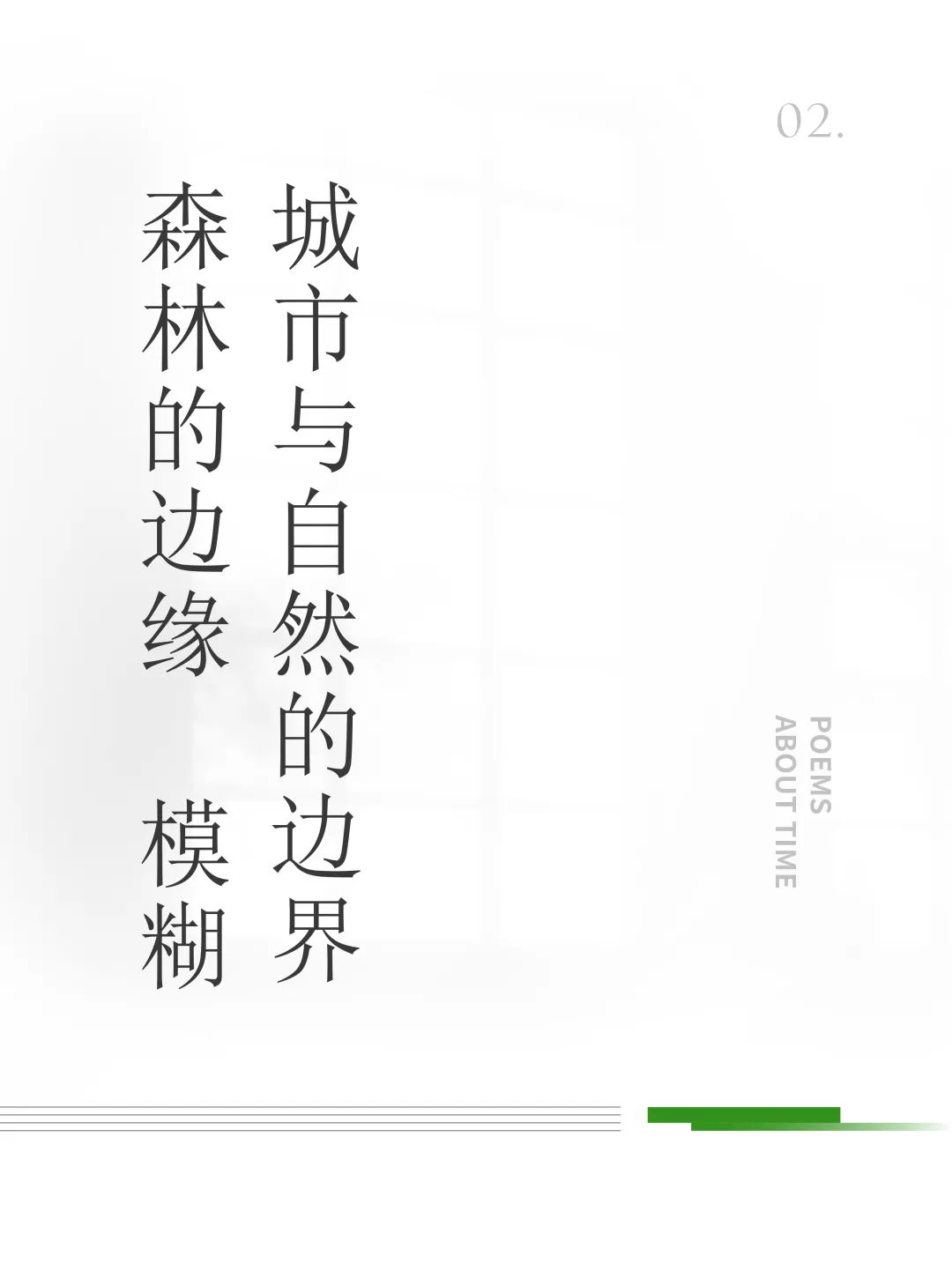 1736750784119027.jpg 1736750763137.jpg