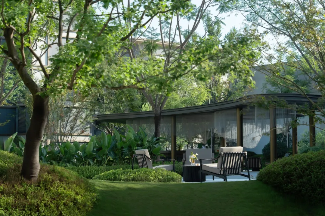 1736750821537666.jpg 1736750807687.jpg