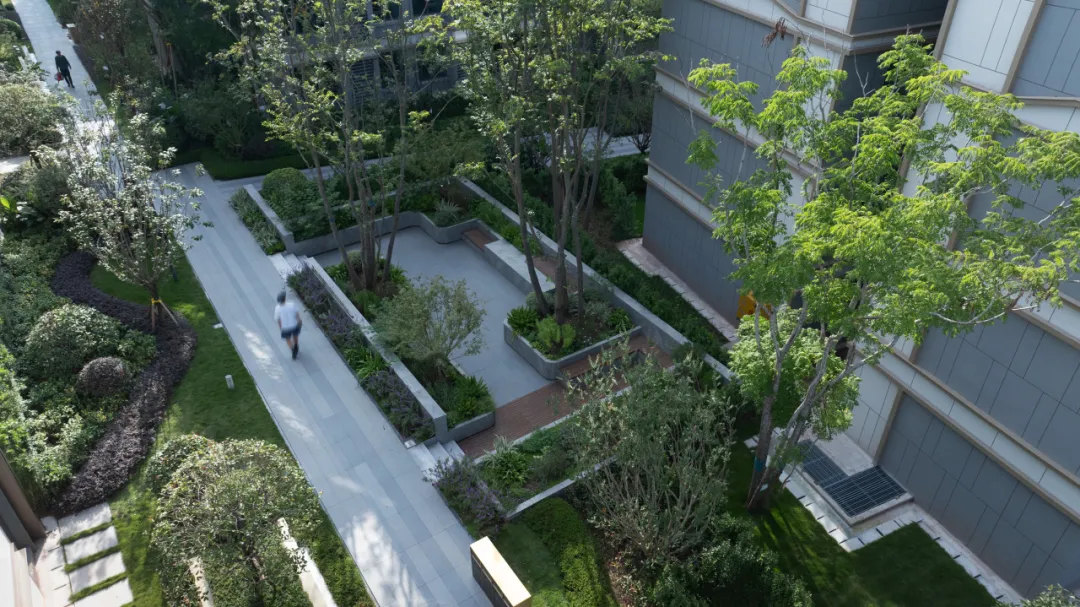 1736750912840642.jpg 1736750888387.jpg