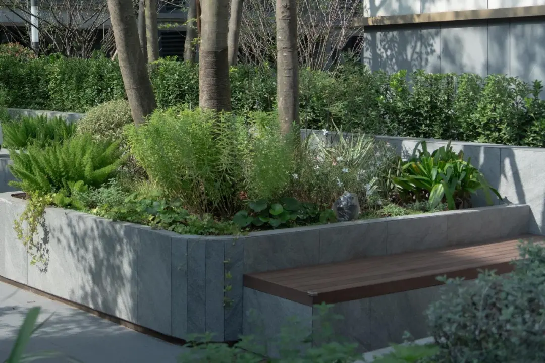 1736750916211426.jpg 1736750890196.jpg