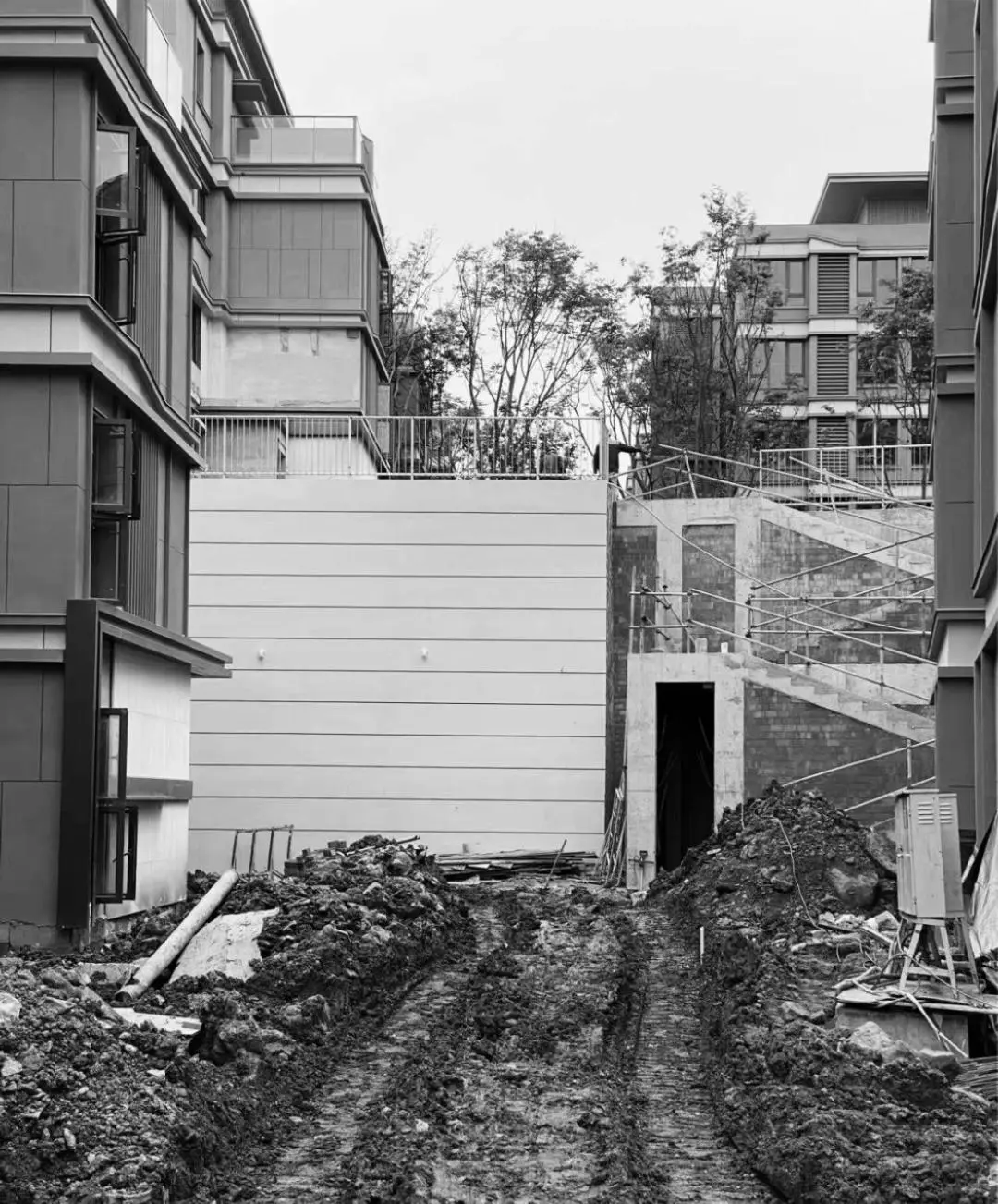 1736750998277974.jpg 1736750988332.jpg