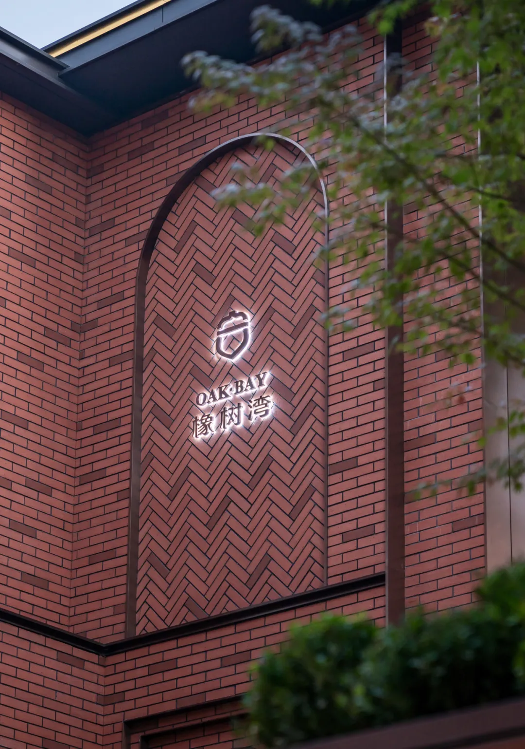 1736752134639997.jpg 1736752119008.jpg