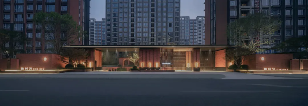 1736752195135500.jpg 1736752178969.jpg