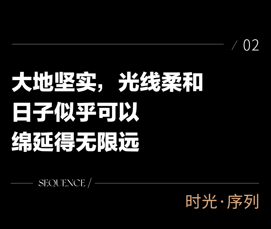 1736752221150947.jpg 1736752207022.jpg