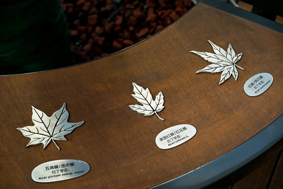 1736752635149607.jpg 1736752617656.jpg