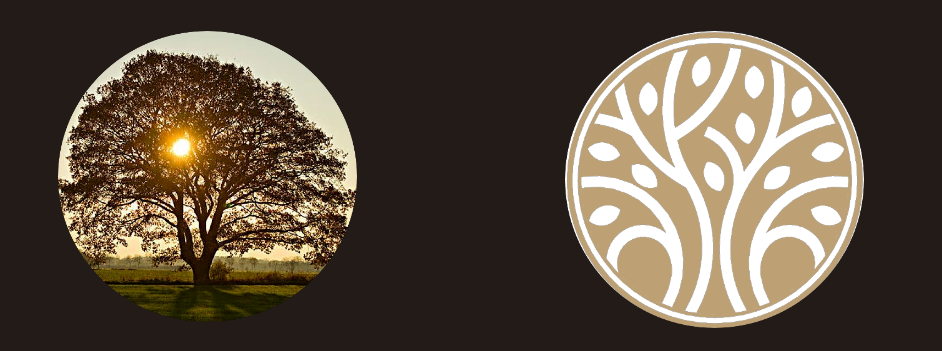 1736752743180308.png image.png