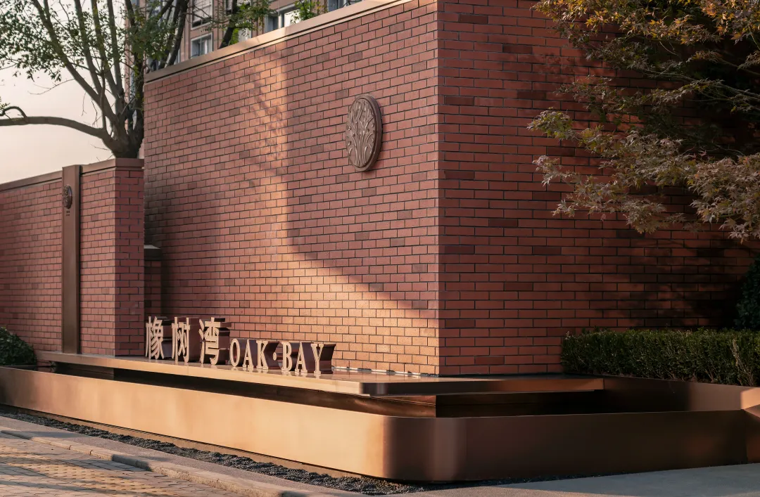 1736752818203220.jpg 1736752802353.jpg