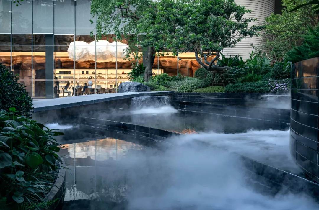 1736754388212436.jpg 1736754358397.jpg