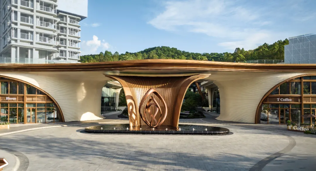 1736754541179489.jpg 1736754525201.jpg