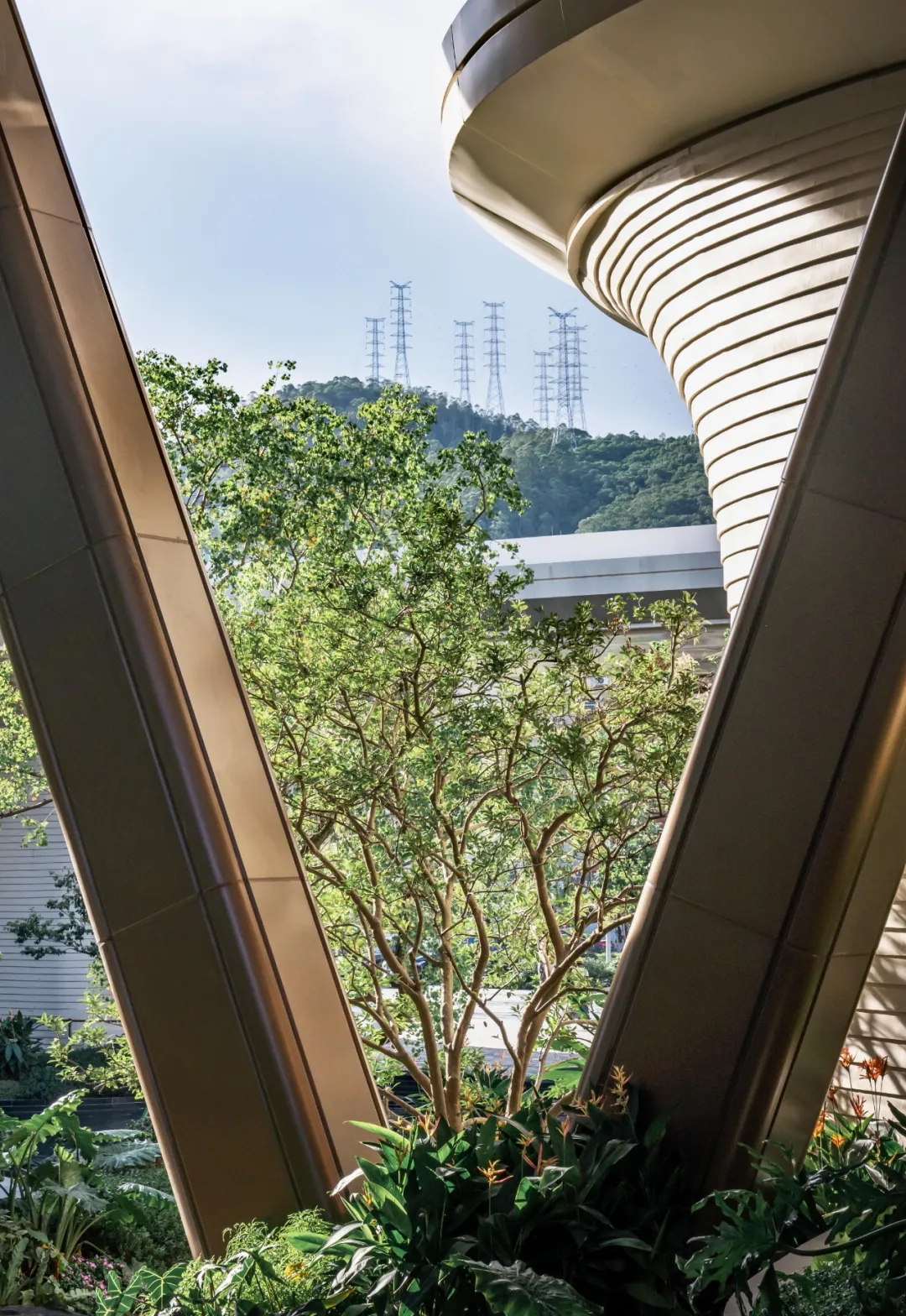 1736754546210858.jpg 1736754527447.jpg